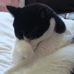 Meet your Posher, Jo